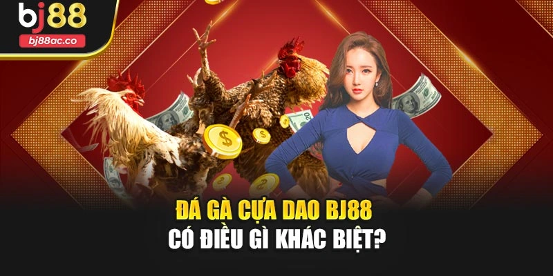 Đá gà cựa dao Bj88 có điều gì khác biệt?
