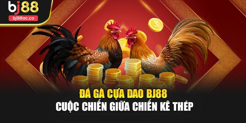 Đá Gà Cựa Dao Bj88 – Cuộc Chiến Giữa Chiến Kê Thép