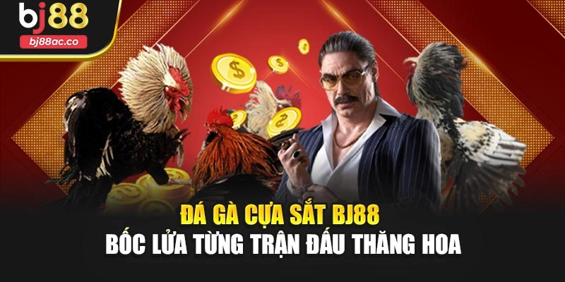 Đá Gà Cựa Sắt Bj88 – Bốc Lửa Từng Trận Đấu Thăng Hoa