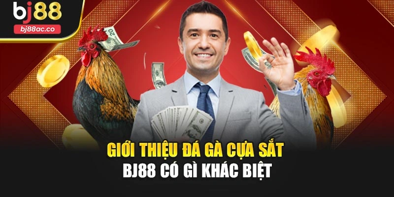 Giới thiệu Đá gà cựa sắt Bj88 có gì khác biệt