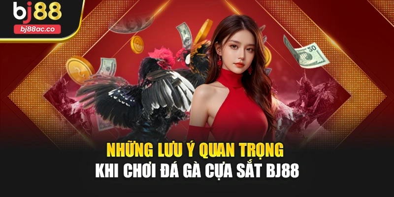 Những lưu ý quan trọng khi chơi đá gà cựa sắt Bj88