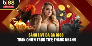 Sảnh Live Đá Gà Bj88 – Trận Chiến Trực Tiếp, Thắng Nhanh