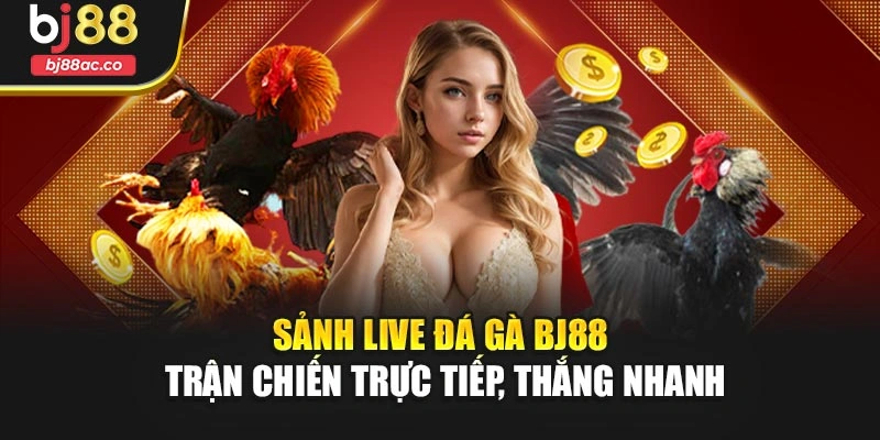 Sảnh Live Đá Gà Bj88 – Trận Chiến Trực Tiếp, Thắng Nhanh